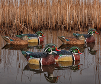 Avian-X Topflight Wood Duck Decoys